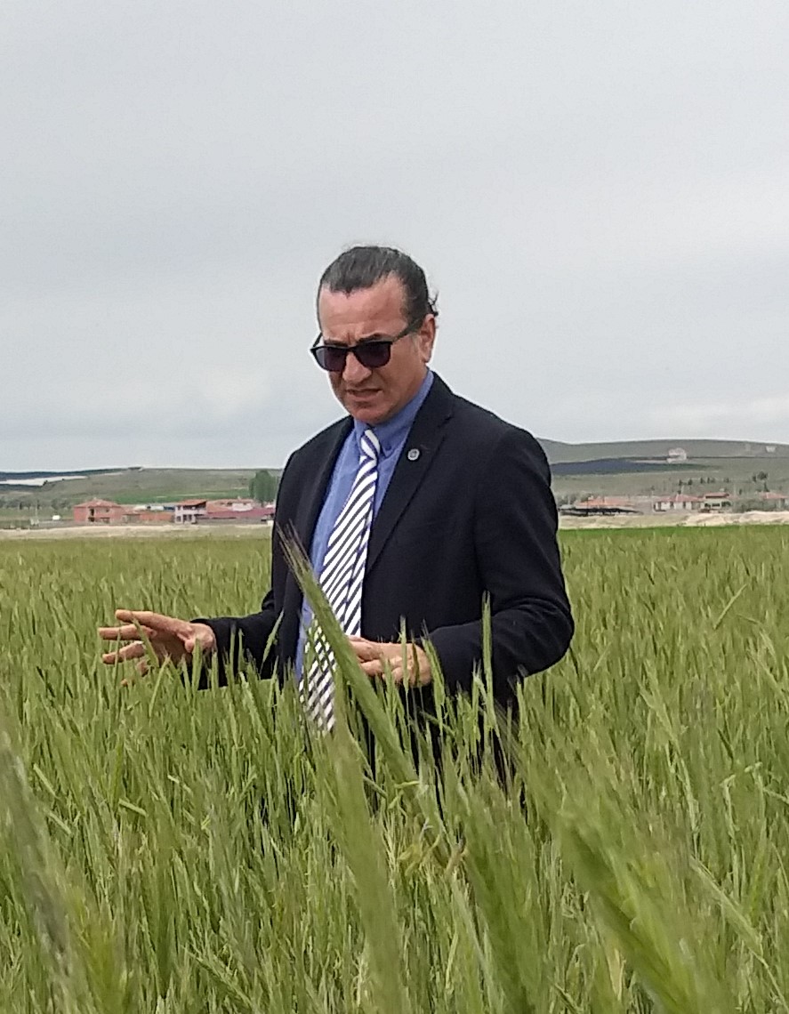 MUSTAFA YILDIRIM